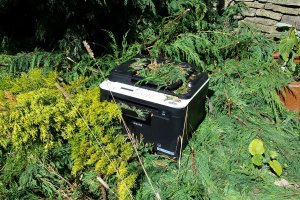 Prints and Clippings