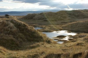 Lindisfarne Dunes