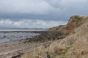 Lindisfarne Beach